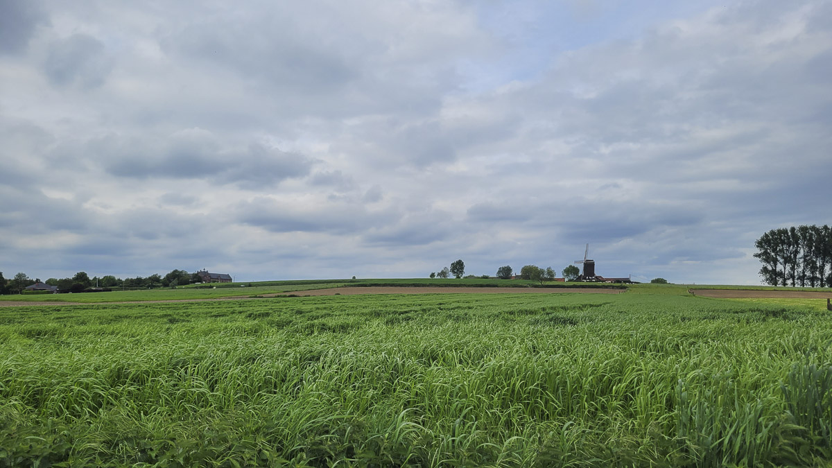 Bostoen RivaHof Dentergem groene omgeving
