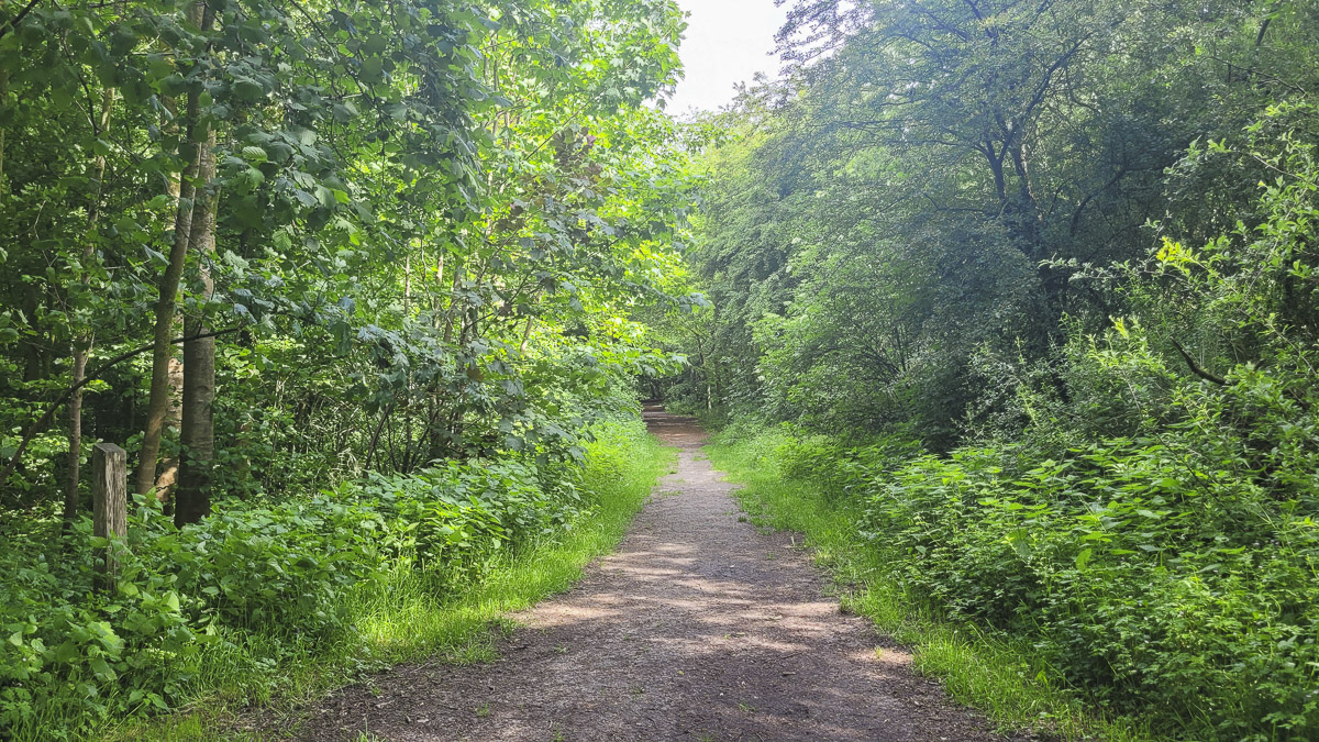 Bostoen RivaHof Dentergem omgeving Provinciedomein De Baliekouter