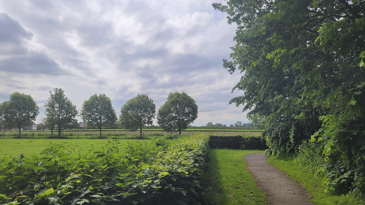 Bostoen RivaHof Dentergem omgeving Provinciedomein De Baliekouter